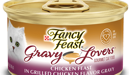 Fancy feast chicken feast in gravy grilled store